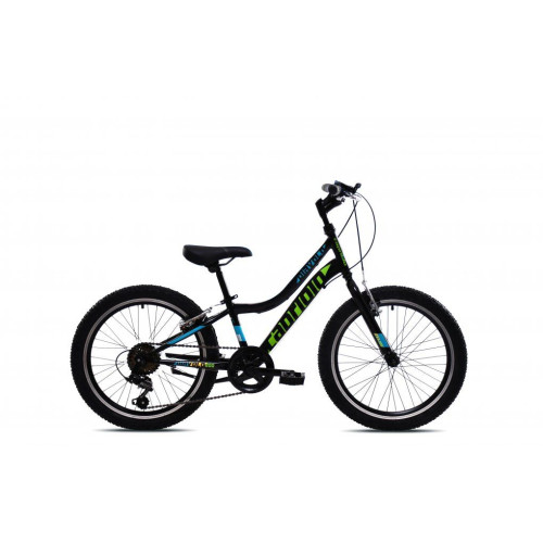 DETSKÝ BICYKEL CAPRIOLO DIAVOLO 200 20"X11" ČIERNO-ZELENÝ