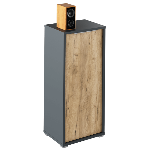 Skrinka, grafit/dub artisan, RIOMA NEW TYP 10 Skrinka, grafit/dub artisan, RIOMA NEW TYP 10