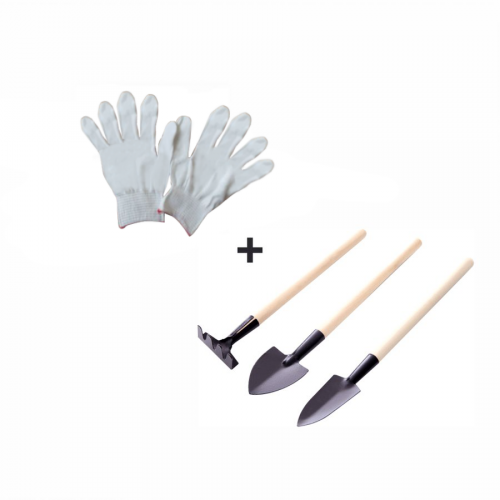 Viacúčelový regál, prírodná, TABIA + darček