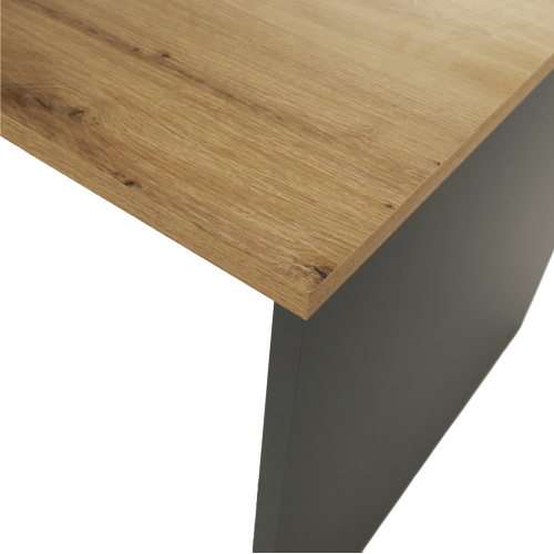 Písací stôl, grafit/dub artisan, RIOMA NEW TYP 16